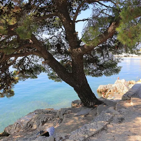 And By The Sea - 22597